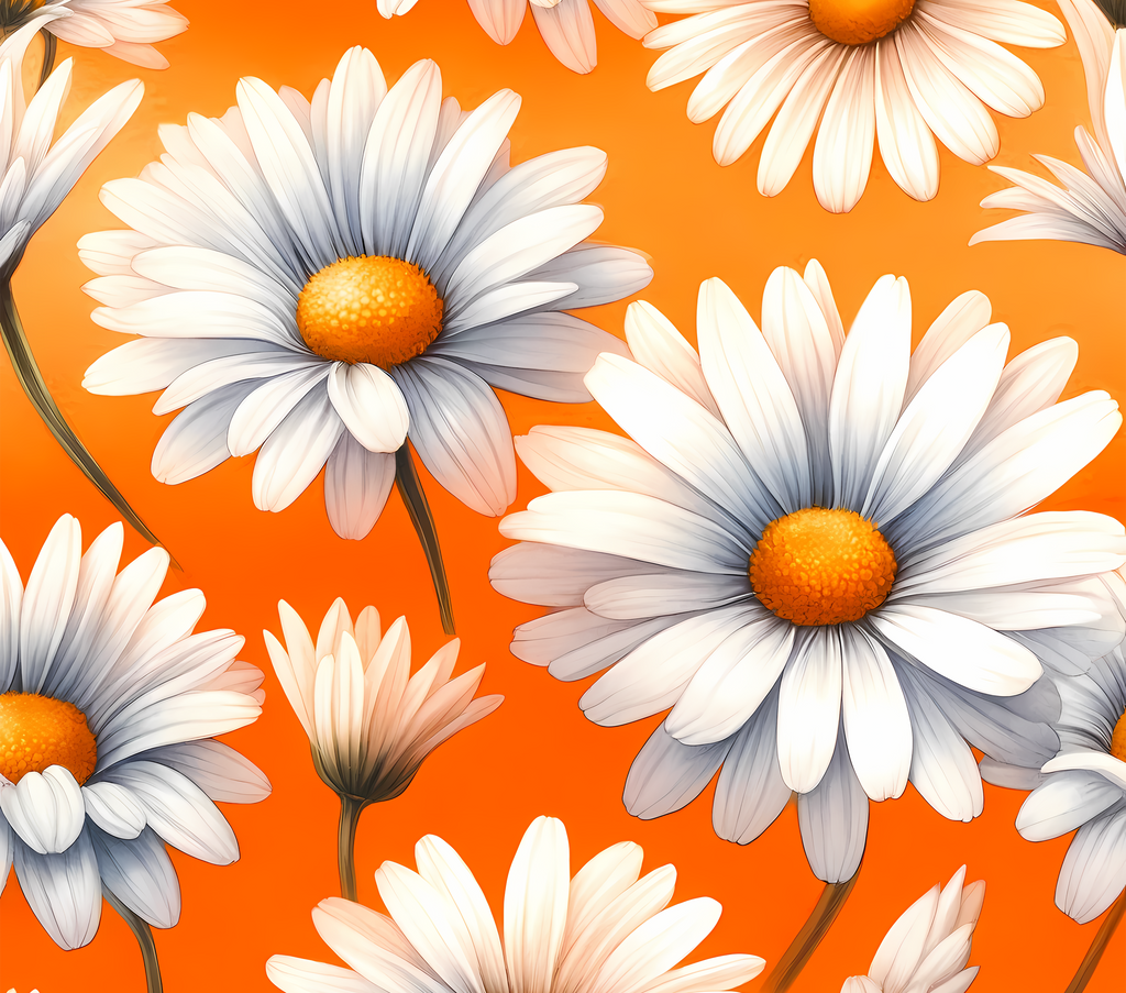 Daisy Design 7