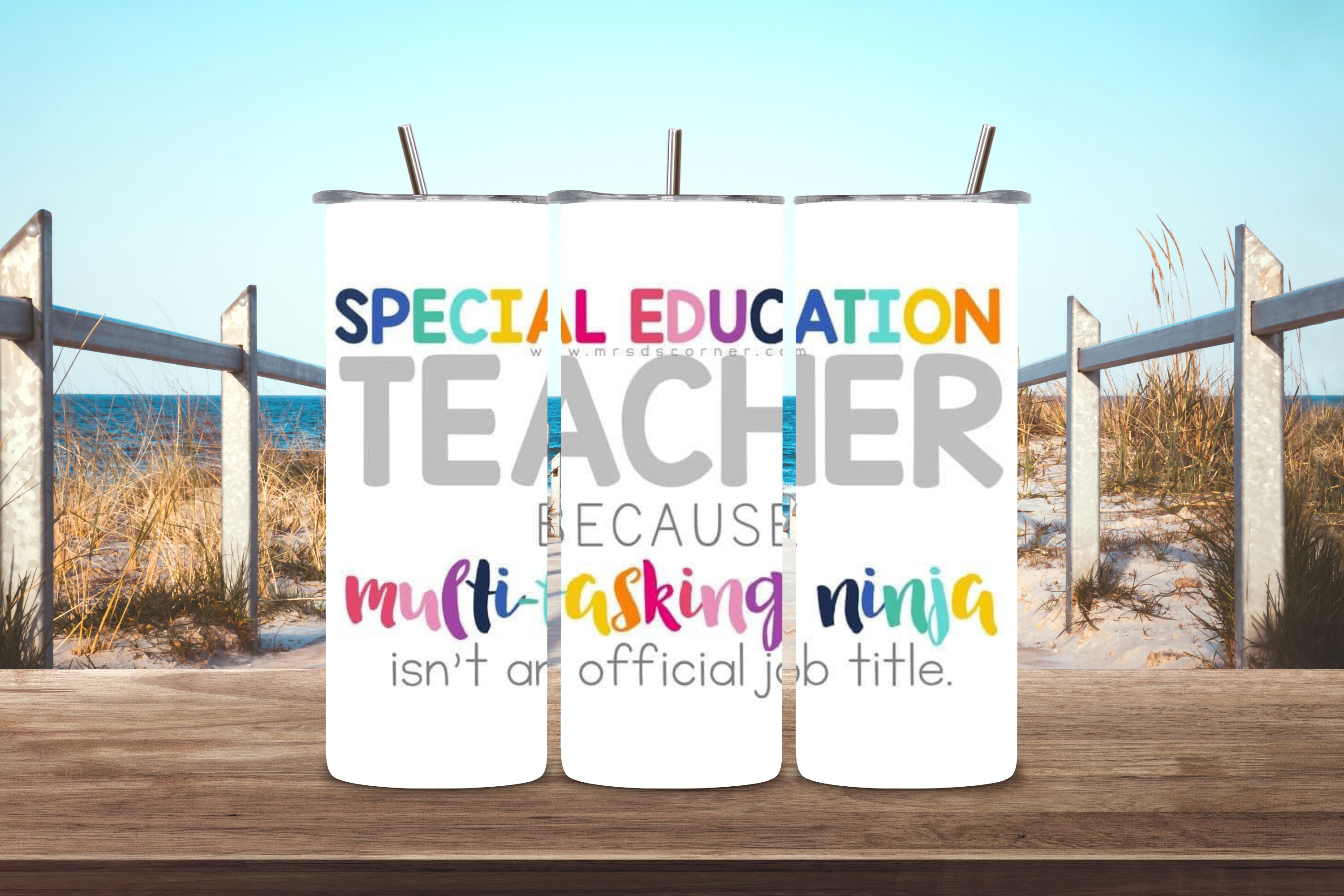 Special Ed Teacher Design 1
